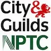 city and guilds and nptc qualified arborist